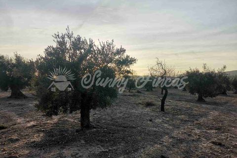 Grond in Biar, Alicante, Biar - € 65.000 | Ref: SF0442 - foto 8